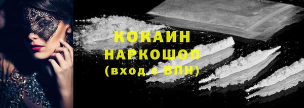 твердый Магас