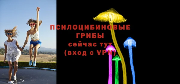МДПВ Навашино