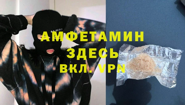 твердый Магас