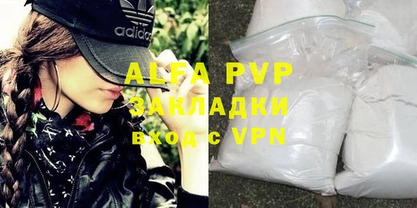 твердый Магас